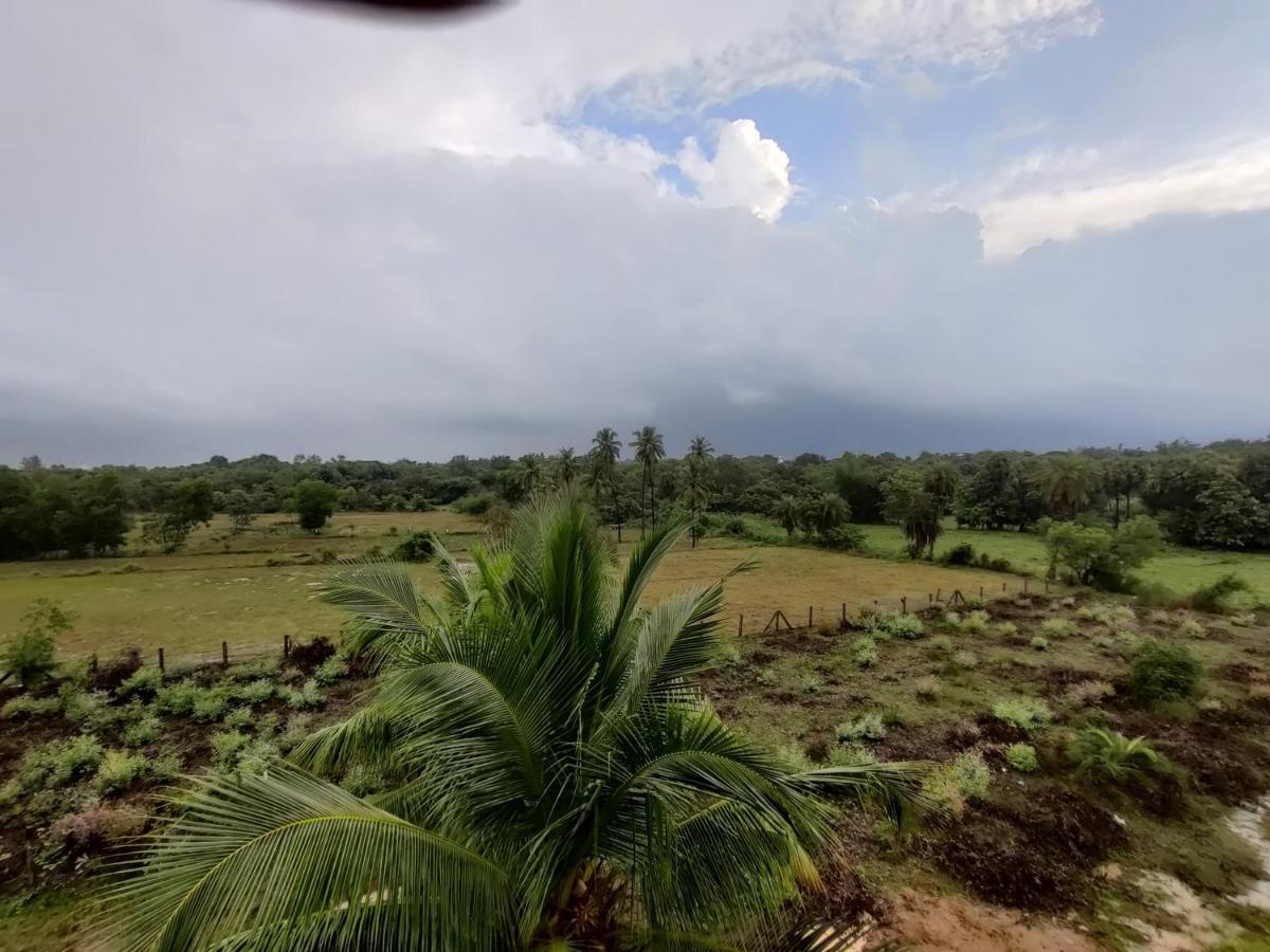 Woodpacker Hostel Auroville Pondicherry Екстериор снимка